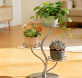 One-of-a-Kind 3-Tier Curved Metal Plant Stand: Elevate Your Indoor Greenery with Modern Elegance